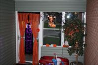 Sample Photo from Album Number 398