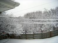 Sample Photo from Album Number 571