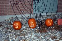 Laura did an excellent job of decorating for Halloween!