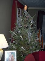 Laura getting the house ready for Christmas