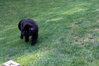 Laura and Mary got Daddy some new lenses on father