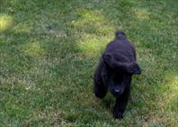 Laura and Mary got Daddy some new lenses on father