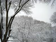 Pretty snowfall in March - Laura took these.