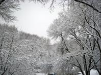 Pretty snowfall in March - Laura took these.