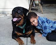 Adrian Johnson and Fritz - House on maple drive Omaha, NE