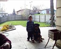 Adrian Johnson and Fritz - House on maple drive Omaha, NE