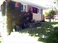 Out of control landscaping