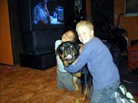 Adrian Johnson, Fritz and Michael Bachman - taken at the house on Maple Drive