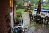 Hail storm destroyed a bunch of plants. It was fun to clean up.