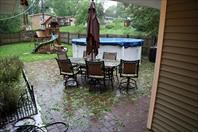 Hail storm destroyed a bunch of plants. It was fun to clean up.