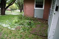 Hail storm destroyed a bunch of plants. It was fun to clean up.