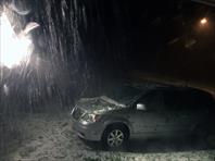 Hail storm shredded the plants