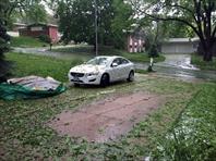 Hail storm shredded the plants