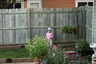 Mary Wray "helping" with the yard work - taken at the house on maple drive May 2009