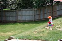 Mary Wray - More fun yardwork on Maple Drive in Omaha,NE