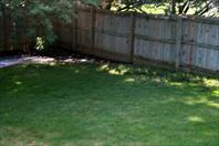 We tore up all of the sod from Laura