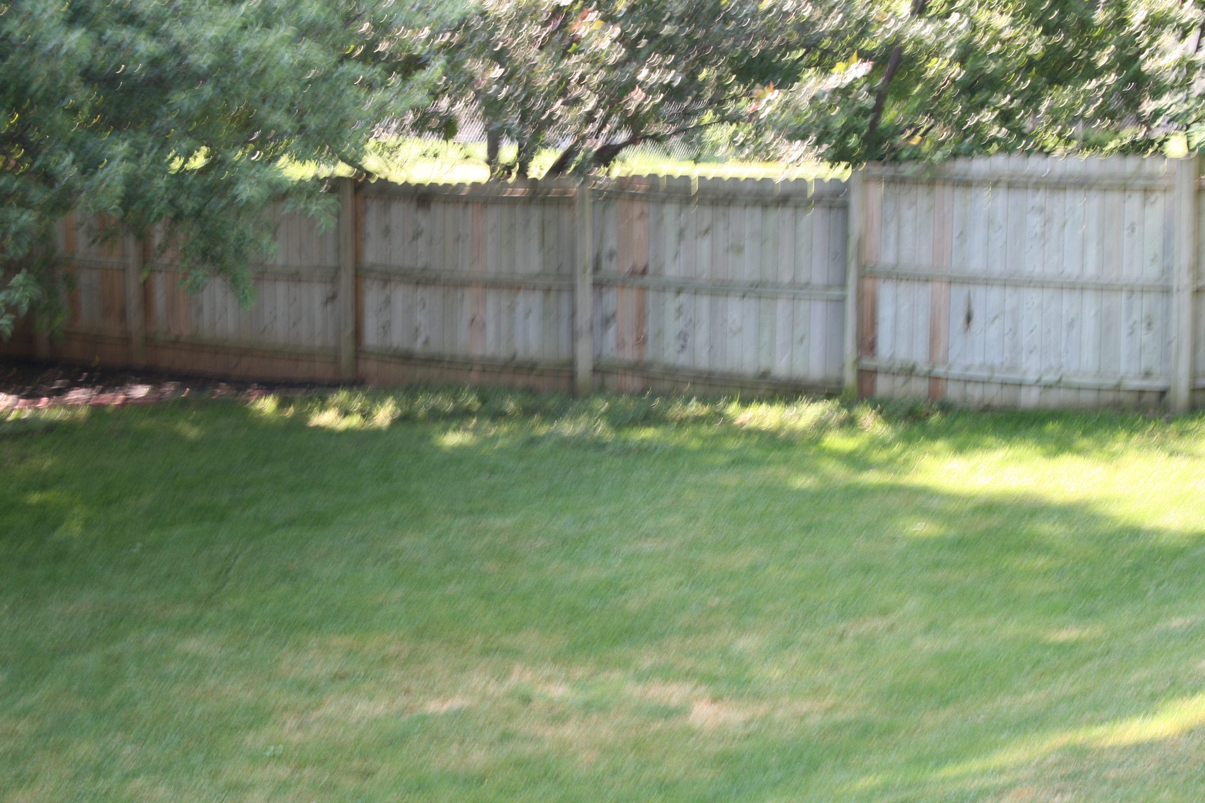 Photo Number 9824