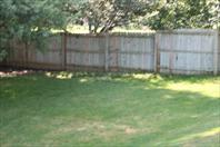 We tore up all of the sod from Laura